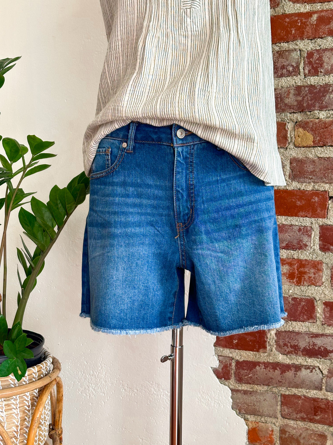 Sound Style High Waist Jean Shorts-shorts-Carolyn Jane's Jewelry